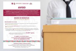 Seguro de Desempleo CDMX 2025: fecha, hora, sitio de registro y monto del apoyo Cortesía: Gobierno / Canva