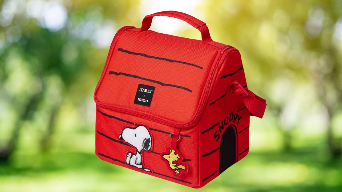La casa de Snoopy que todos quieren está en Amazon a precio irresistible Cortesía: Marca / Canva